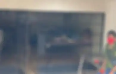 Misteri Kerangkeng Milik Bupati Langkat Nonaktif Terungkap, Komnas HAM Sebut Proses Rehab Dilakukan Penuh Kekerasan hinga Lebih dari Satu Penghuni Telah Meninggal Dunia