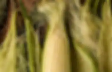 3 Penyakit Ini Langsung Minggat Kalau Rutin Konsumsi Air Rebusan Rambut Jagung, Buruan Coba