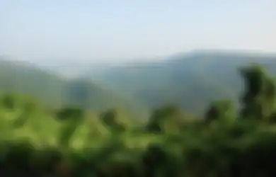 Bikin Merinding, Jurnalis Inggris dan Pakar Suku Adat Hilang di Pedalaman Hutan Amazon, Tak Ada Keterangan Apapun Tiba-tiba Polisi Tangkap 2 Tersangka, Presiden Brazil Ungkap Kemungkinan Mengerikan