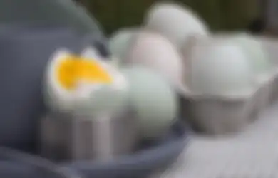 Dijamin Bikin Para Istri Ketagihan, Mulai Sekarang Coba Konsumsi Telur Bebek yang Diolah dengan Cara Seperti Ini, Jangan Kaget Kalau Jadi Betah di Ranjang