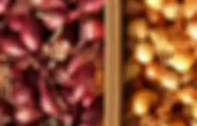Ternyata Bawang Putih dan Bawang Merah Dapat Dimanfaatkan Sebagai Pupuk Alami Tanaman, Tunggu 2 Minggu Ini yang Akan Terjadi!