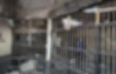 Tahanan Lapas Tangerang Bayar Rp 5000 Per Minggu untuk Nikmati Tidur di Aula, 'Fasilitas' Kamar Harganya Jauh Lebih Mahal