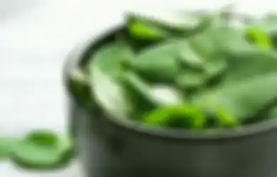 Tak Perlu Obat Kuat, Para Lelaki Bisa Coba Ramuan Daun Kelor Agar Istri Betah di Ranjang