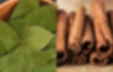 Selamat Tinggal Obat-obatan Rumah Sakit, Cuma Modal Ramuan Daun Salam dan Kayu Manis ini Penyakit ini Tak Bakal Kambuh