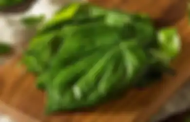 Gak Nyangka Penyakit Sejuta Umat Ini Bisa Sembuh, Modalnya Ternyata Cuma Daun Sirih yang Tumbuh Di Pekarangan, Begini Cara Mengonsumsinya