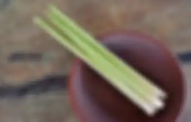 Pakai Bahan Kimia Gak Mempan, Mending Usir Nyamuk dari Rumah dengan Cara Mudah Ini, Cuma Modal Serai