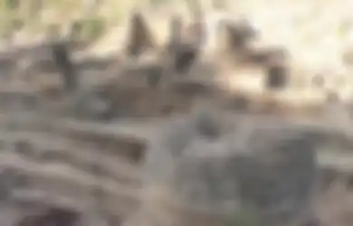 Berusia 2.000 Tahun, Kuil Buddha Ditemukan di Pakistan, Kemungkinan Ditinggalkan Ketika Terjadi Gempa Bumi, Wilayah Penaklukkan Alexander Agung