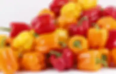 Satu Indonesia Wajib Tahu 3 Manfaat Paprika Bagi Penderita Diabetes, Nyesel Kalau Gak Coba