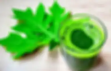 Gak Perlu Keluar Uang untuk Beli Obat, Kuncinya Cuma Rutin Minum Jus Daun Pepaya, Ternyata Bisa Bikin Deretan Penyakit Ini Ogah Mampir ke Tubuh