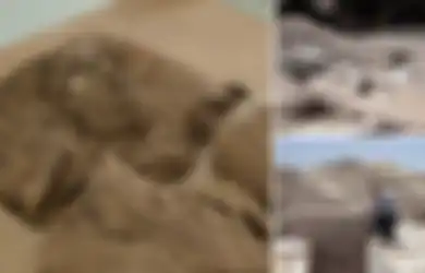 Di Dalam Piramida Berusia 3.800 Tahun, Ditemukan Ruang Pemakaman yang Diyakini Sebagai ‘Rumah’ Seorang Putri Mesir, Tetapi Makamnya Bak ‘Dirampas’ dari Pendahulunya