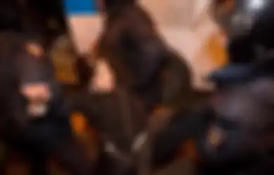 Bantu Galang Dana untuk Ukraina, Personel Pussy Riot Jual NFT Bendera Ukraina Seharga Rp38 Miliar