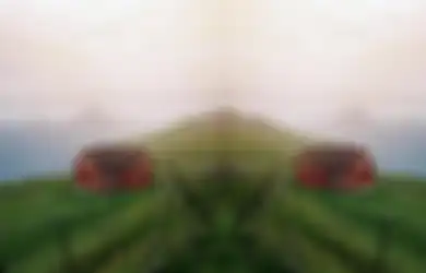 Tes Kepribadian: Gambar Pertama Pilihan yang Kamu Pilih, Bakal Tunjukkan Pelajaran Apa yang Telah Kamu Dapat di Masa Lalu