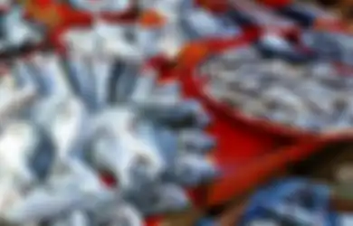Aneka Tips Harian, Jangan Mau Ditipu Pedagang, Kenali Empat Ciri Ikan Berformalin yang Sebabkan Kanker