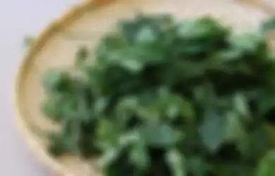 Aneka Tips Hari Ini, Dikenal Miliki Banyak Manfaat, Catat! Cara Menanam Katuk di Halaman Rumah