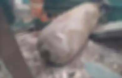 Bak Jadi Bukti Ganasnya Invasi Rusia ke Ukraina, Inilah Penampakan Rudal Rusia Seberat 500 Kg yang Digunakan Rusia Untuk Menghajar Ukraina, Ini Dia Korbannya