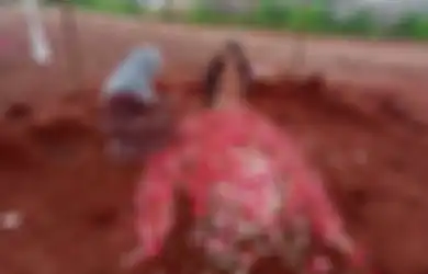 Innalillahi Wa Innailaihi Rojiun, Livernya Kambuh Usai Menikah, Penulis Sinetron Kenamaan Ini Tiba-tiba Hembuskan Napas Terakhirnya, Sahabat: Meninggalnya Cepat Sekali