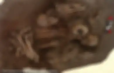 Kekejaman Penguasa Spanyol, Inilah Pembantaian Tragis yang Menimpa Suku Aztec Kuno, Anak-anak Hingga Wanita Dibantai Dengan Cara Keji Ini