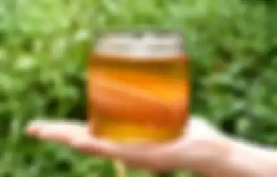 Kopi hingga Kombucha, Inilah Sederet Minuman Sehat Bagi Penderita Diabetes