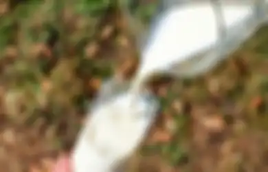 Mulai Sekarang Stop Minum Susu Bersamaan dengan Makanan Enak Ini, Gak Nyangka Tanpa Disadari Bikin Tubuh Alami Hal Mengerikan