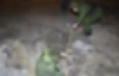 Sebut 103 Anak Kecil Meninggal Dunia Selama Perang Rusia Ukraina, Presiden Ukraina Volodymyr Zelensky Tak Akui Serangan Ukraina dengan Rudal Balistik ke Wilayah yang Dibebaskan Putin Ini