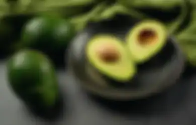 Bukannya Untung Malah Buntung, Mulai Sekarang Jangan Makan Alpukat Dicampur 2 Bahan Ini Jika Tak Mau Rugi