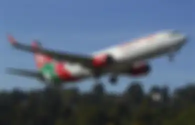 Puing Malaysia Airlines Ditemukan Usai 8 Tahun Dinyatakan Hilang, Perkuat Teori Pilot Sengaja Jatuhkan Pesawat