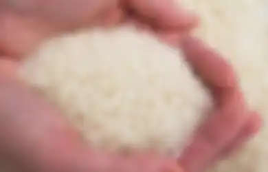 Tips Hidup Memilih Beras yang Sehat dan Bergizi, Simak 5 Tips Ini Agar Terhindar dari Kandungan yang Berbahaya, Jangan Sampai Keliru!