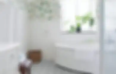 Ibu-ibu Cuma Butuh Dua Benda Ini Agar Kamar Mandi Tak Nampak Becek dan Pengap, Wajib Coba!