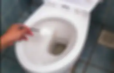 Nggak Perlu Jasa Sedot WC, Kloset Mampet Teratasi dengan Bahan Dapur yang Satu Ini