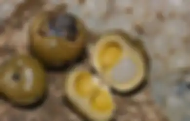 Manfaat Kolang Kaling Bisa Mengobati Nyeri Sendi dan Baik Untuk Diet