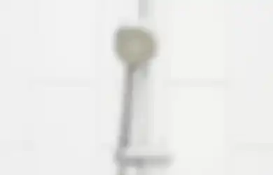 Ternyata Penggunaan Shower dan Dual Flush di WC Bikin Kita Lebih Hemat Air, Ini Alasannya!