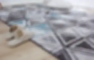Tak Perlu Dibawa ke Laundry, Noda Kopi dan Teh di Karpet saat Lebaran Bisa Dihilangkan dengan Bahan Dapur Ini