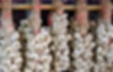 Jangan Lagi Menyimpan Bawang Putih di dalan Kulkas, Dampaknya Bisa Ancam Nyawa Satu Rumah