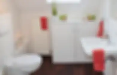 Hilangkan Bau Tak Sedap di Kamar Mandi dengan Bahan Rumahan, Mulai dari Soda Kue hingga Arang Bambu!