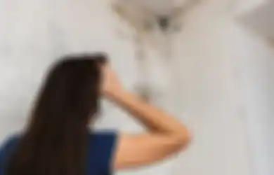 Jamur Tumbuh Lagi di Dinding meski Sudah Dibersihkan, Ternyata Ini Sebabnya!