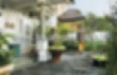 Pengin Taman Koral Eksotik dan Minim Perawatan, Mudah Bikinnya!