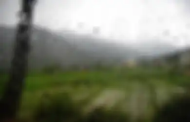 Jadi Waktu Mustajab Allah SWT Kabulkan Segala Permintaan, Simak Bacaan Doa Ketika Hujan Turun dan Setelah Hujan