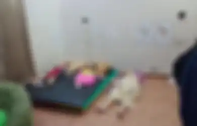 Sudah Lama Inginkan Anak Sampai Berobat Kemana-mana, Ibu Ini Malah Ajak 2 Buah Hatinya Tenggak Racun, Begini Penjelasan Kepolisian
