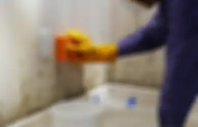 5 Cara Mengatasi Jamur di Rumah dan Mencegahnya Muncul Lagi