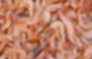 Jangan Lagi Makan Bagian Udang yang Ini, Bahaya Bagi Kesehatan