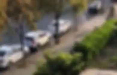 Pantas 'Raungannya' Sampai Penuhi Penjuru Kota, Inilah Hal-hal Mengerikan yang Terjadi saat Lockdown Shanghai, Termasuk Hewan Peliharaan yang Dipukuli Hingga Mati