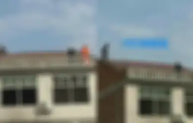 Hilang Akal Dicerai Suami, Wanita Ini Nekat Panjat Atap Rumah dan Lakukan Hal Tak Terduga, Orang Disekitarnya Ikut Jadi Korban