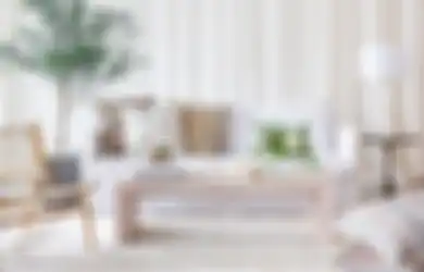 Tak Perlu Banyak Bahan Kimia, Noda dan Bakteri di Sofa Bisa Mudah Dibersihkan dengan Cara Ini