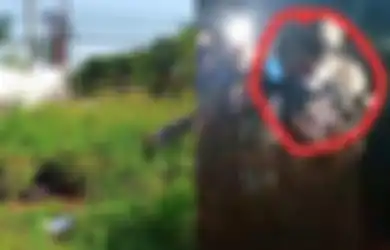 Dalang Pembunuhan Mahasiswa Kedokteran di Pasuruan Ditangkap, Terungkap Begini Cara Pelaku Habisi Nyawa Korban, Terlihat Santai