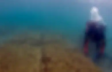 Berusia Sekitar 2.500 Tahun, Pangkalan Angkatan Laut Yunani Kuno Ditemukan di Athena, Dibangun dengan Kapasitas Mampu Tampung Ratusan Kapal yang Bisa Rusak Karena Paparan Sinar Matahari