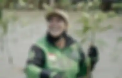 GoTo Kenalkan Fitur Pohon Kolektif, Bisa Tanam Pohon Sambil Naik Gojek