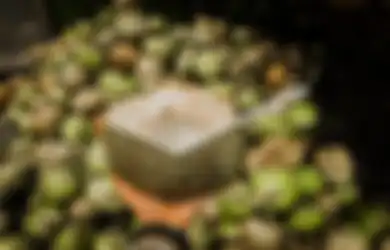 Bukannya Untung Malah Buntung, Orang dengan Kondisi Ini Ternyata Dilarang Keras Minum Air Kelapa, Jangan Nekat Jika Tak Ingin Nyesel Seumur Hidup
