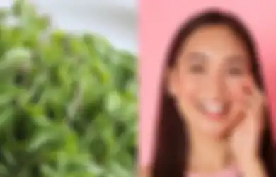 Tips Hidup Bikin Kulit Wajah Cerah Alami Cukup dengan Daun Kelor, Dijamin Hasilnya Auto Glowing, Simak Begini Cara Penggunaannya