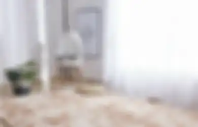 Jaga Tampilan Karpet agar Tetap Terlihat Seperti Baru dengan Cara Berikut!