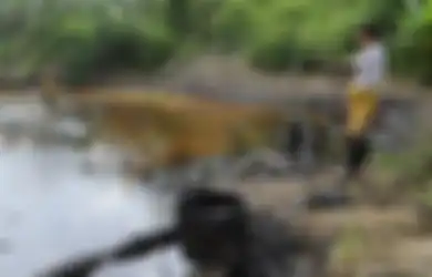 Bak Kejatuhan Durian Runtuh di Balik Menderitanya Rusia, Siapa Sangka Negara yang Nyaris Tak Dikenal Ini Malah Untung Besar Gara-gara Amerika Jatuhkan Sanksi Ekonomi ke Rusia